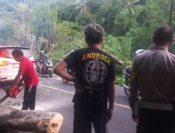Personel Polsek Tomohon Utara Gerak Cepat Tanggapi Bencana Pohon Tumbang Timpa Kendaraan